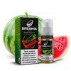Dreamix SALT WatermelonS