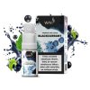 E-liquid Way To Vape - Blackcurrant 10ml (Nikotin 0 mg - BEZ NIKOTINU)