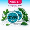 zyn menthol ice AKCE