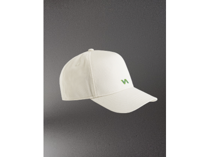 FRAME CAP bone2.jpg