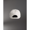 FRAME CAP bone3.jpg