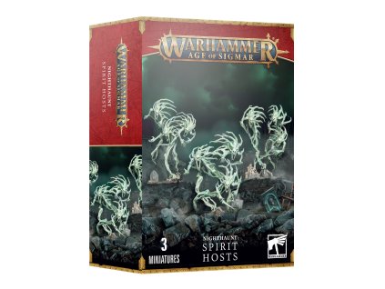92925 warhammer age of sigmar nighthaunt spirit hosts