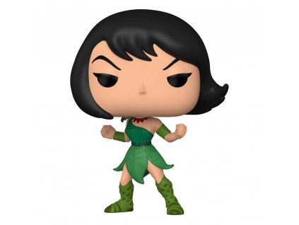 Samurai Jack funko figurka Ashi (1)