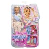 210233 4 barbie dream besties panenka ken