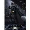 223862 1 akcni figura dc comics dynamic 8ction heroes 1 9 batman temny rytir 21 cm