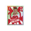 234209 11 uefa euro 2024 sticker collection multipack