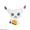 x meho845871 a