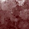 296527 1 vallejo special fx corrosion