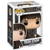 Game of Thrones funko figurka Bran Stark (2)