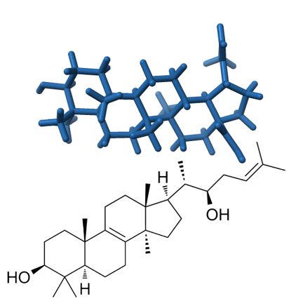 Kyselina betulinová