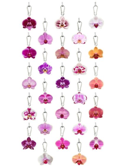 PREDPREDAJ ORCHIDEÍ  25 DIZAJNOV