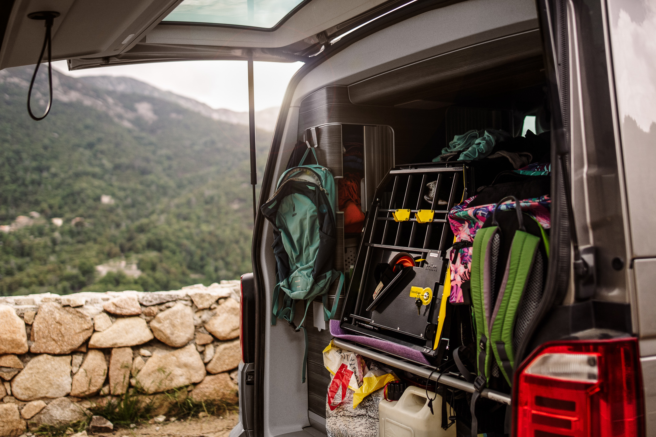 Możliwości przewożenia psa w aucie.