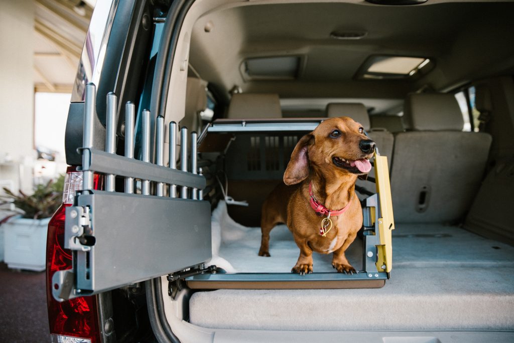 ...nie będzie psu w bagażniku za gorąco?