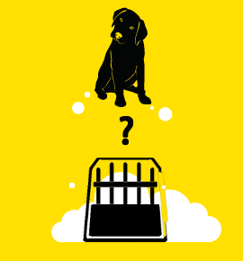 Jak wybrać odpowiednią klatkę? 