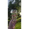 Matcha box-Různé druhy