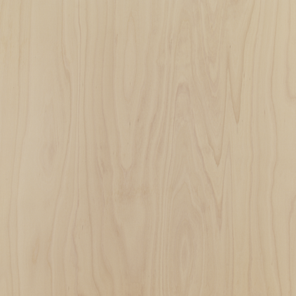 Sperrplatte_Buche_B-BB_EN314-2_KL3_Premium_Dekor