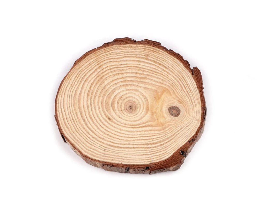 Přírodní dřevěné kolečko k dotvoření – průměr cca 16 cm – detail produktu