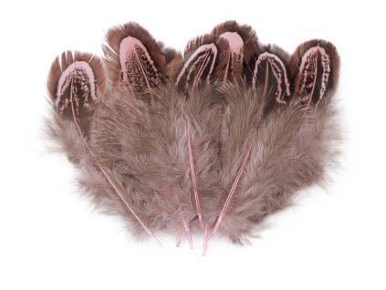 Snímek obrazovky 2026 01 23 v 20.59.14