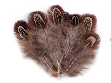 Snímek obrazovky 2026 01 23 v 21.00.52