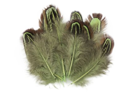 Snímek obrazovky 2026 01 23 v 21.01.48