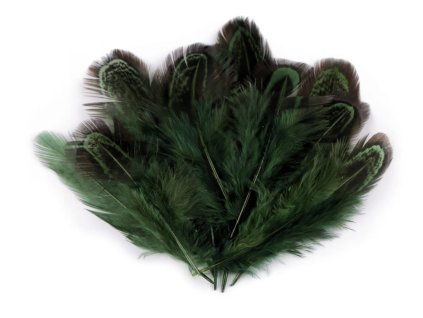 Snímek obrazovky 2026 01 23 v 21.03.51