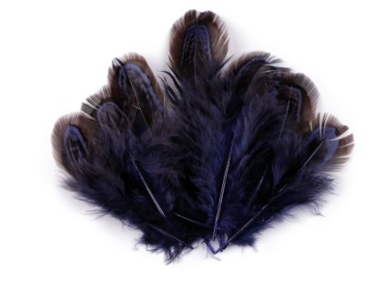 Snímek obrazovky 2026 01 23 v 21.04.44