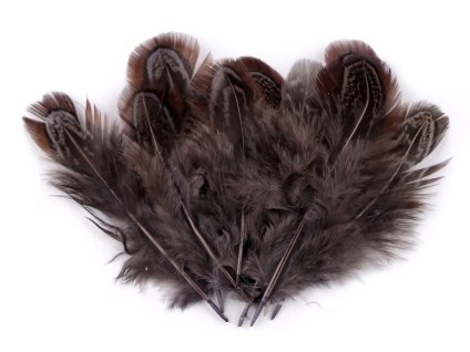 Snímek obrazovky 2026 01 23 v 21.05.58