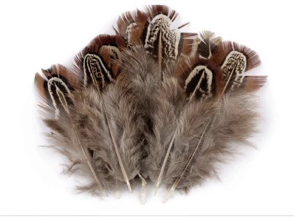 Snímek obrazovky 2026 01 23 v 21.07.36