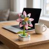 STARFLOWER CLEMATIS