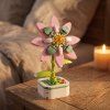 STARFLOWER CLEMATIS