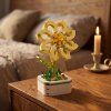 STARFLOWER JASMINE