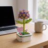 STARFLOWER HYACINTH