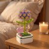 STARFLOWER HYACINTH