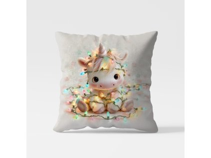 WhatsApp Image 2026 01 08 at 07.55.03