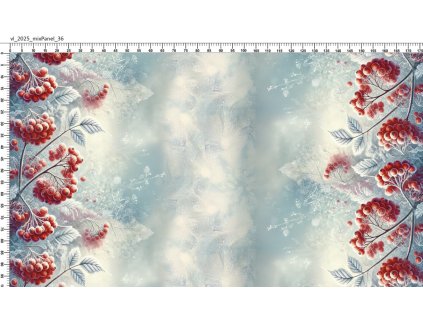 Snímek%0Aobrazovky 2026 01 19 v 15.25.23