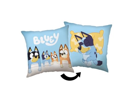 Polstarek Bluey