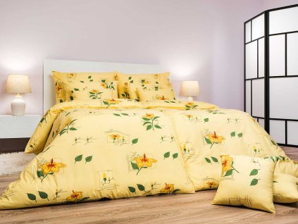 Povleceni Ibisek zluty Dadka Vracov1