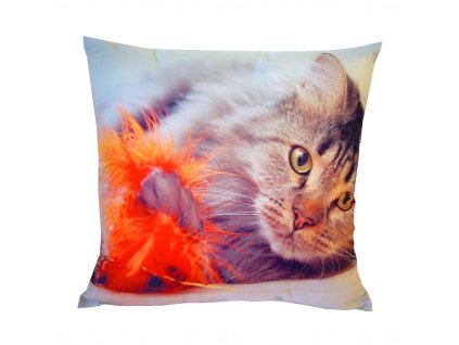 Fotopolstarek pro deti kocka s perickem Dadka Vracov