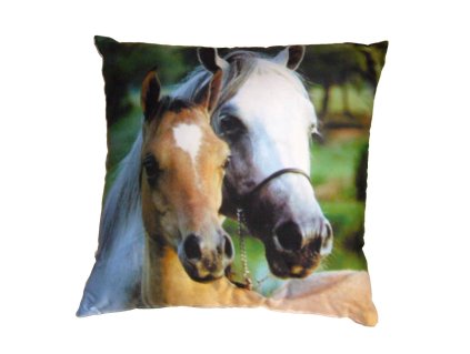 Fotopolstarek pro deti Kone Dadka Vracov