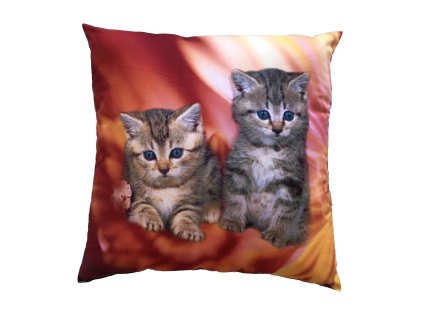 Fotopolstarek pro deti Kotata v ohni dadka Vracov