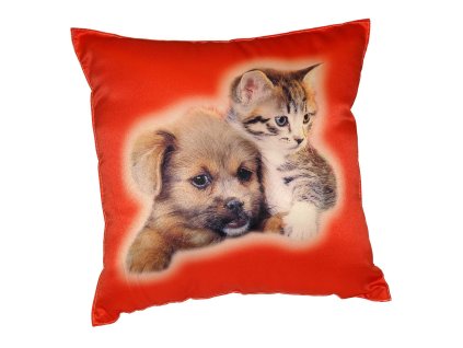 Fotopolstarek pro deti Kote na cervenem Dadka Vracov