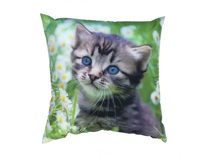 Fotopolstarek pro deti Kote na louce Dadka Vracov