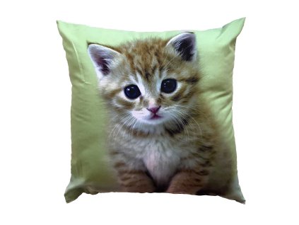 Fotopolstarek pro deti Kote na%20zelenem Dadka Vracov