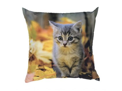 Fotopolstarek pro deti Kote s listim Dadka Vracov