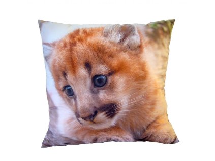 Fotopolstarek pro deti Mala selma Dadka Vracov