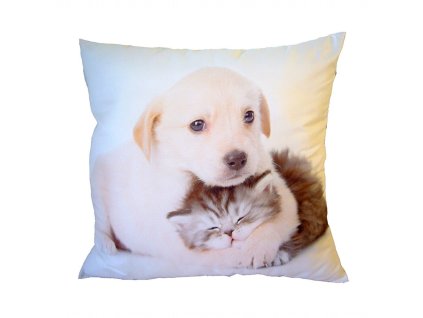 Fotopolstarek pro deti pejsek objimajici kote Dadka Vracov