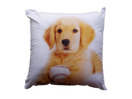 Fotopolstarek pro deti Pes s balonkem Dadka Vracov