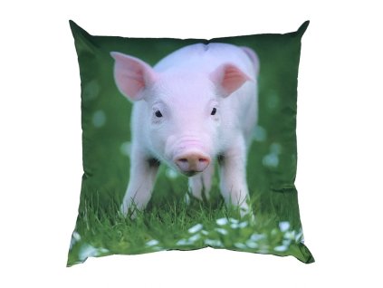 Fotopolstarek pro deti Prasatko Dadka Vracov