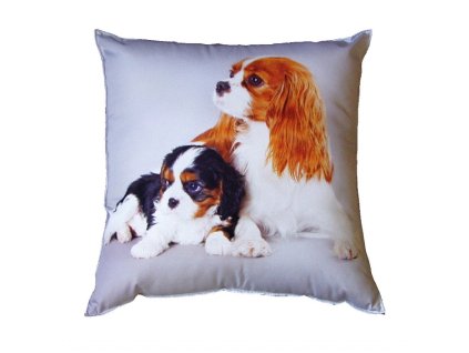 Fotopolstarek pro deti Psi kavaliri Dadka Vracov