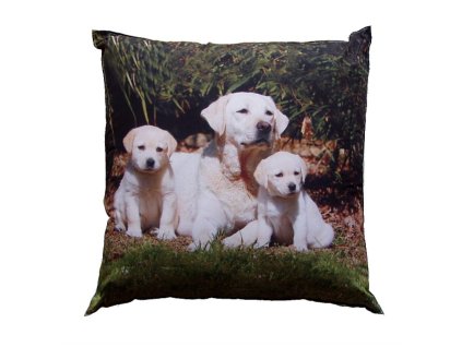 Fotopolstarek pro deti Psi rodinka Dadka Vracov